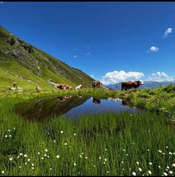 Das Zauberhaft Mayrhofen Extérieur photo